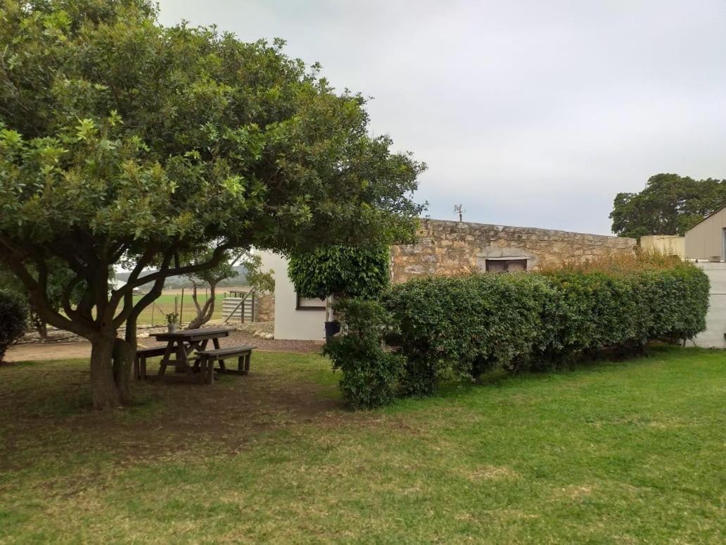 Die Buitekamer Bredasdorp Exterior foto